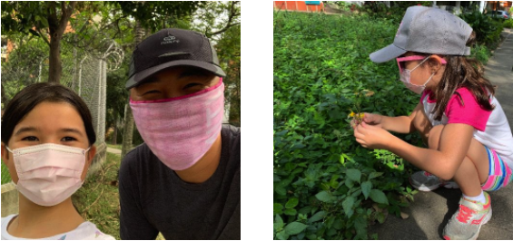 Screen Shot 2020-05-19 at 8.17.24 PM